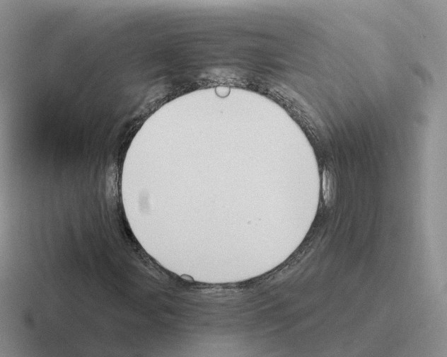 X0000116111107201001041006