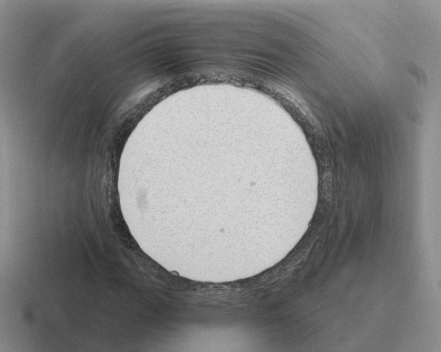 X0000116111111201001041006