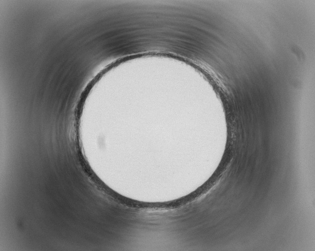X0000116111118201001041006