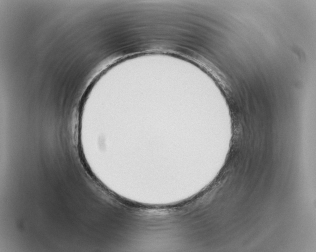 X0000116111126201001041006
