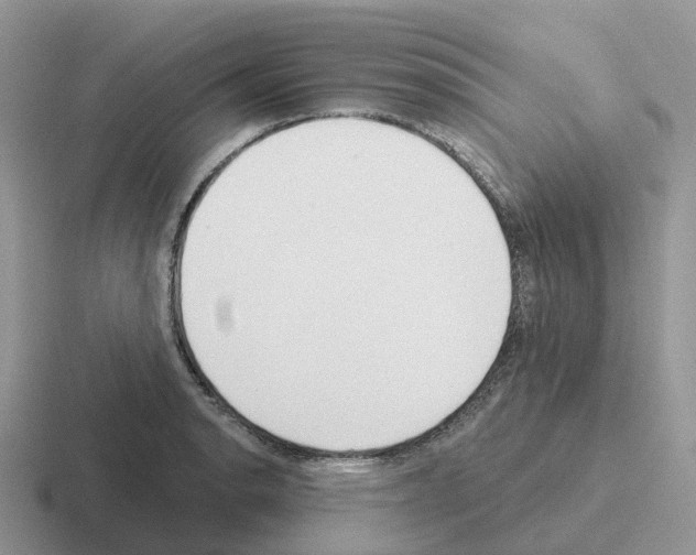 X0000116111134201001041006