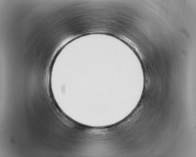 X0000116111179201001041005