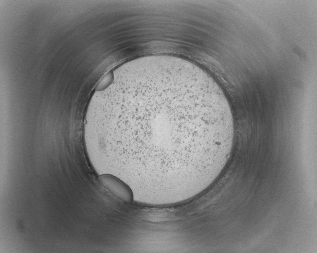 X0000116111185201001041005