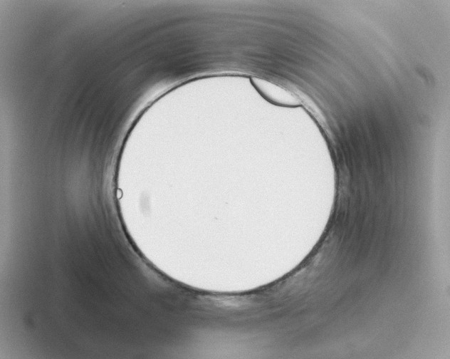 X0000116111197201001041005