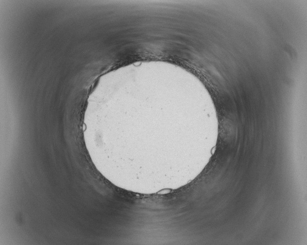 X0000116111201201001041004