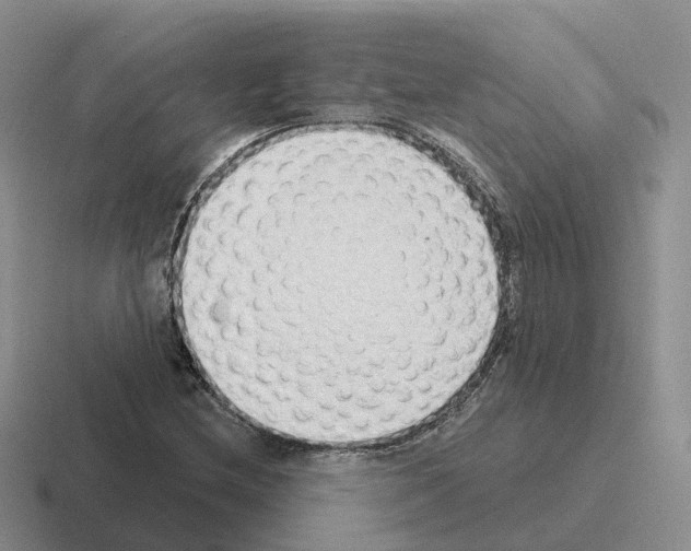 X0000116111212201001041004