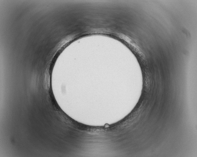 X0000116111221201001041005