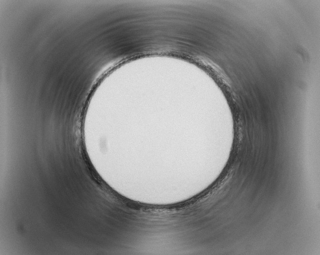 X0000116111226201001041005