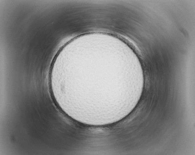X0000116111231201001041005