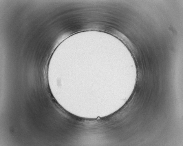 X0000116111242201001041005