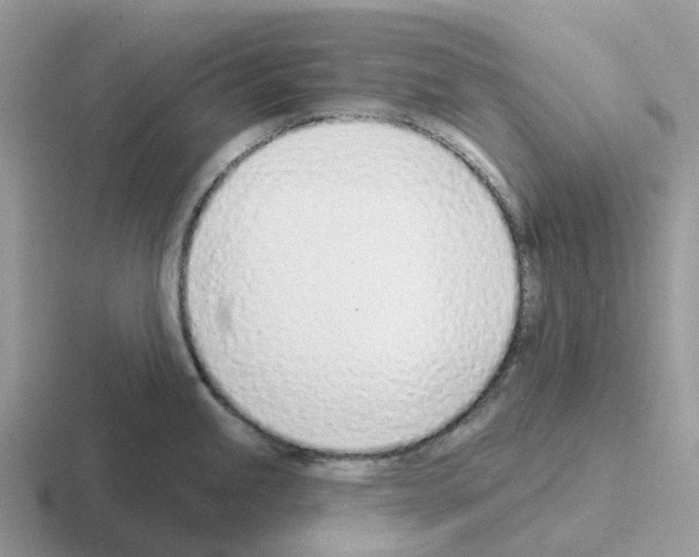 X0000116111245201001041005