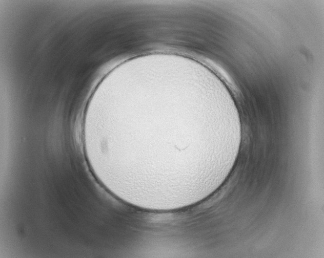 X0000116111247201001041005