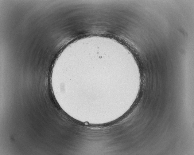 X0000116111257201001041004