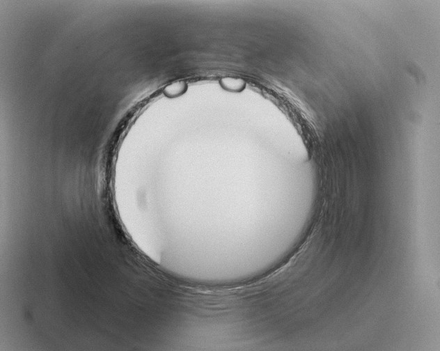 X0000116111261201001041004