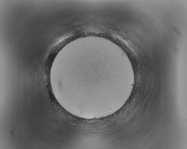 X0000116111303201001041003