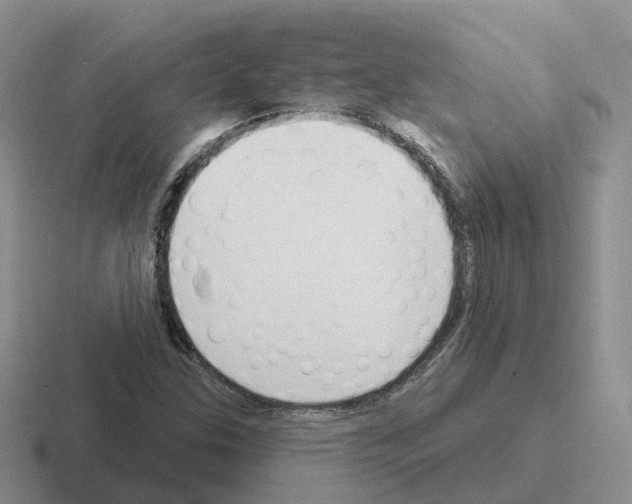 X0000116111307201001041003