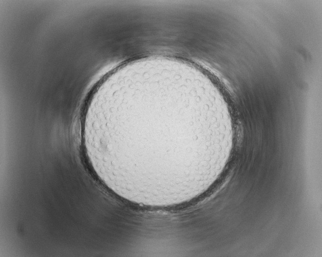 X0000116111317201001041003