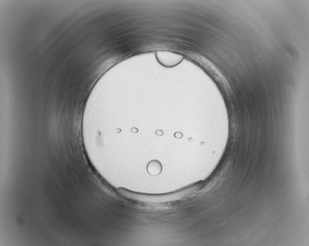 X0000116111337201001041004