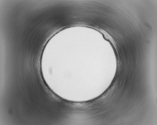 X0000116111341201001041004