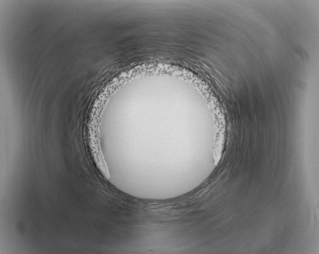 X0000116111345201001041003