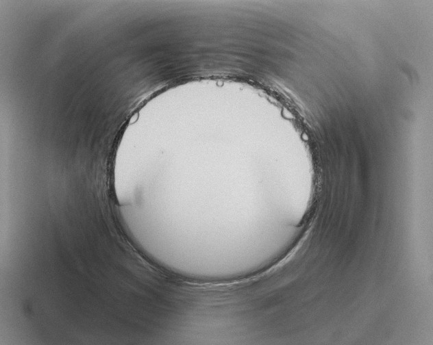 X0000116111353201001041003