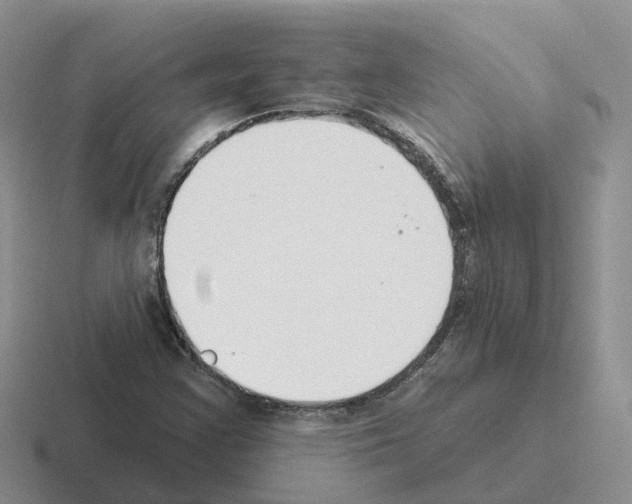 X0000116111355201001041003