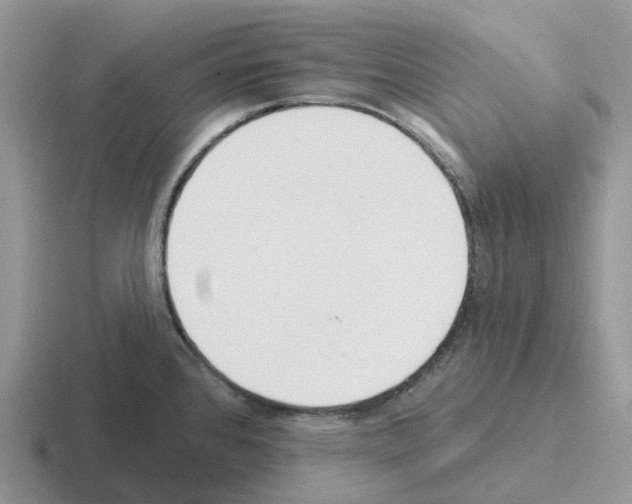 X0000116111384201001041003