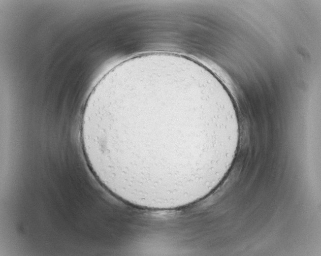 X0000116111390201001041003