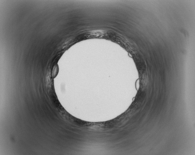 X0000116111394201001041002