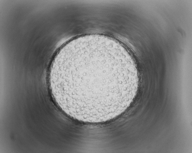 X0000116111404201001041002