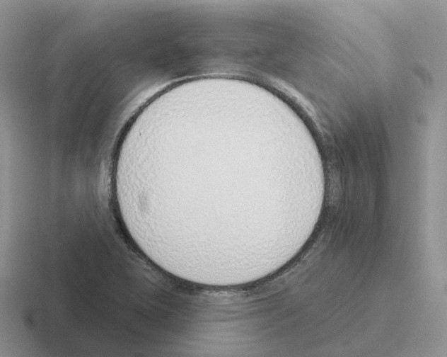 X0000116111415201001041002
