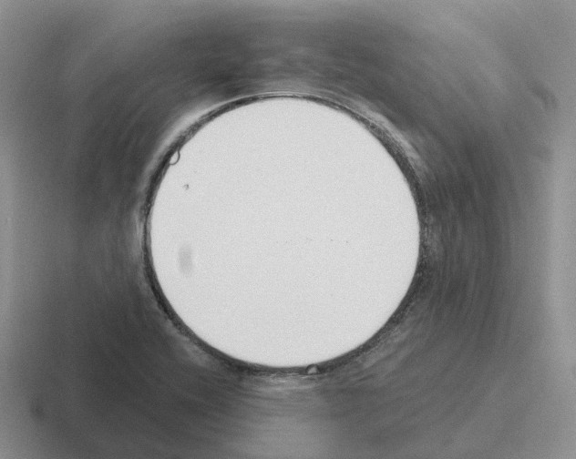 X0000116111416201001041002