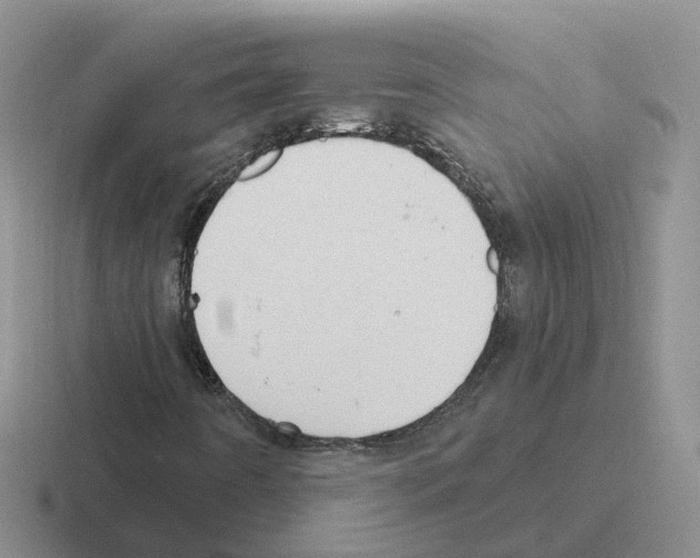 X0000116111442201001041002
