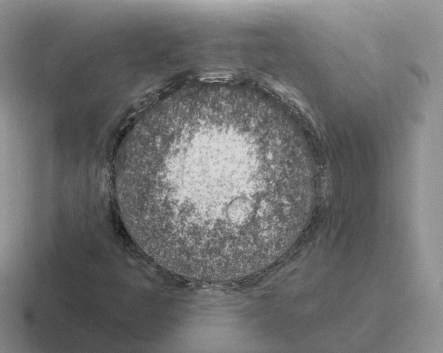 X0000116111445201001041002