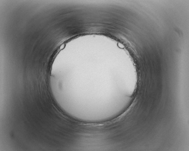 X0000116111449201001041002