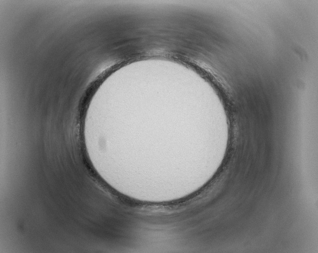 X0000116111450201001041002