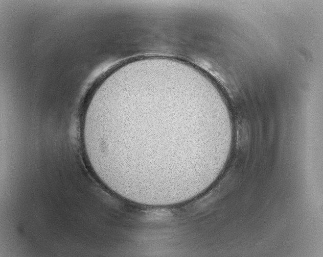 X0000116111454201001041002