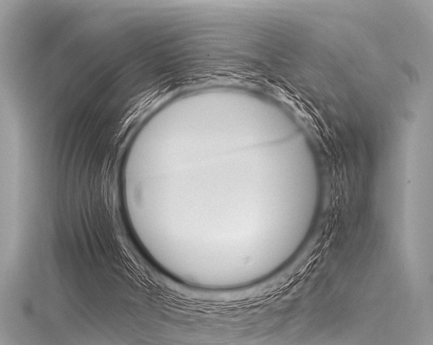 X0000116120002200911230940