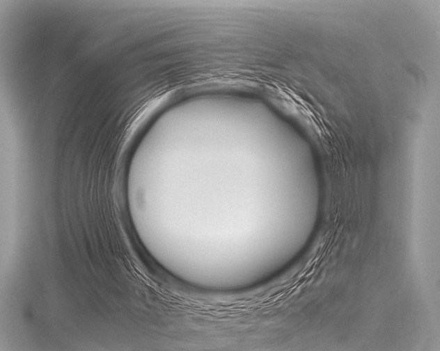 X0000116120003200911230940