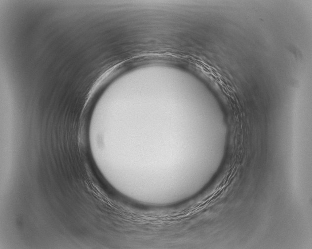 X0000116120004200911230940