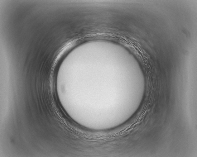 X0000116120006200911230940