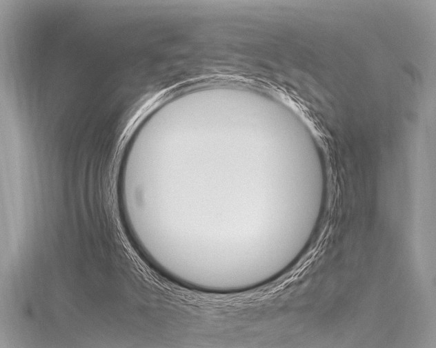 X0000116120007200911230940