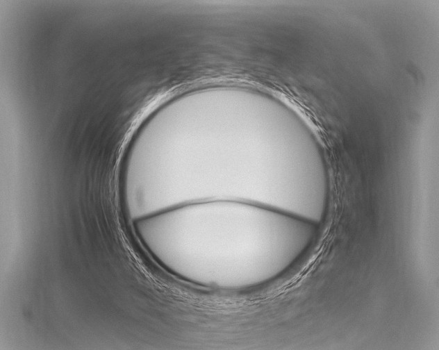 X0000116120008200911230940