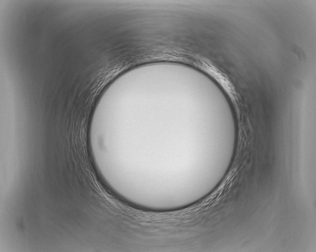 X0000116120009200911230940