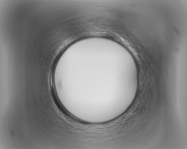 X0000116120011200911230940