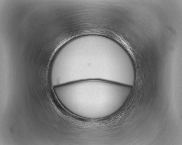 X0000116120012200911230940