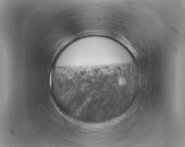 X0000116120014200911230940