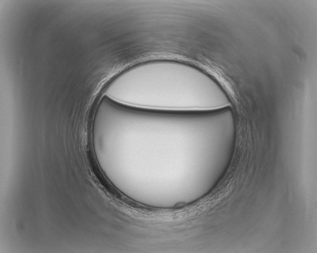 X0000116120015200911230940