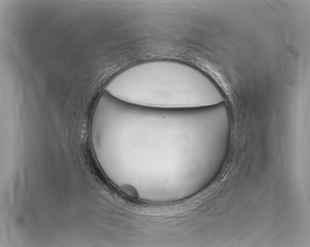 X0000116120017200911230940