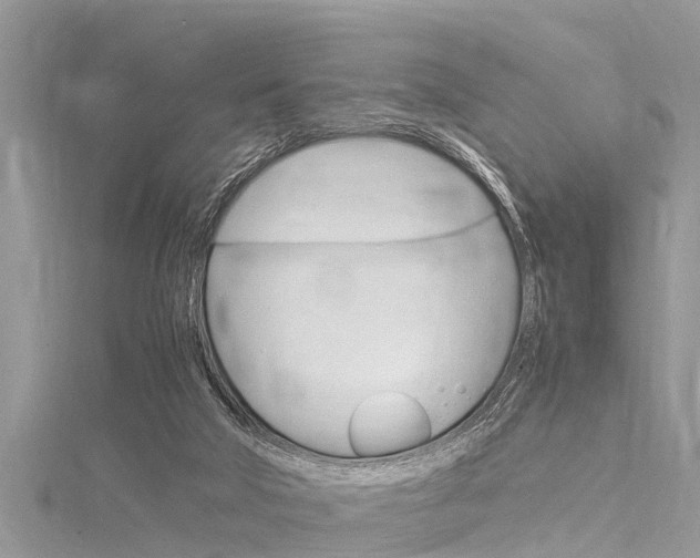 X0000116120018200911230940